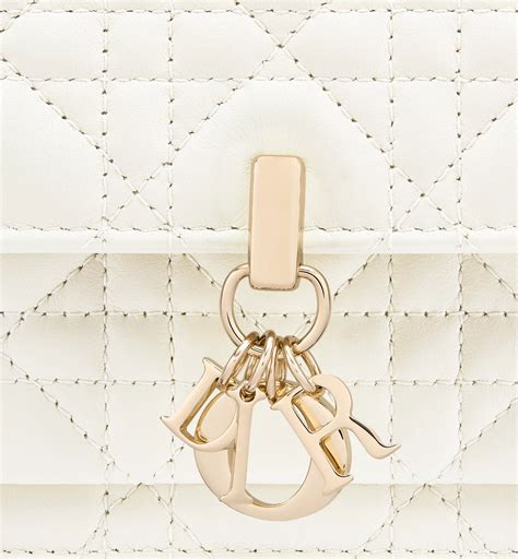 my dior daily chain pouch